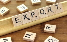 В Хабаровском крае вырос объем экспорта продукции агропромышленного комплекса