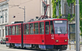 В Хабаровске займутся развитием электротранспорта