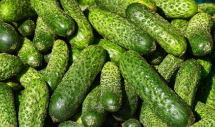 Резидент ТОР «Хабаровск» начал поставлять в торговые сети новую продукцию