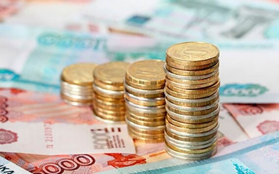 Хабаровчан воспитают за бюджетный счет