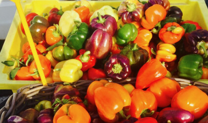 В Хабаровском крае китайские продукты маскируют под фермерские