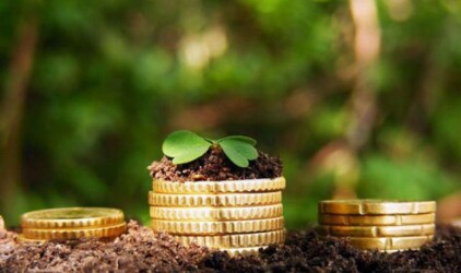 В сельское хозяйство Хабаровского района инвестируют 4,5 млрд рублей
