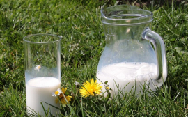 В Хабаровском крае поддержку производителей молока увеличили на 30 млн рублей