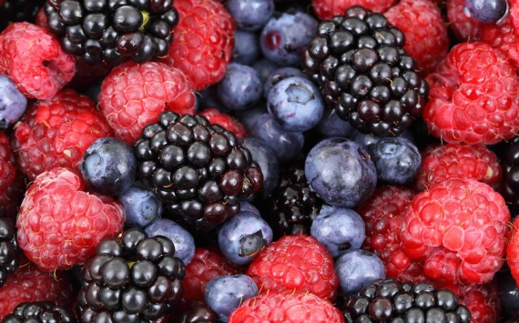 В Хабаровском крае субсидиями поддержат производителей ягод и фруктов