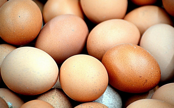 В Хабаровском крае нашли способ сдерживать цены на куриное яйцо