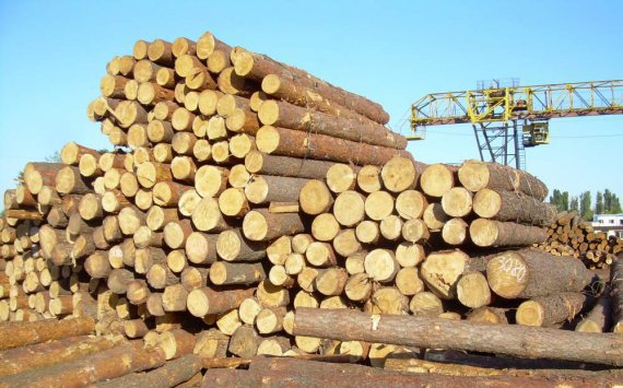 Хабаровский край снижает долю кругляка в экспорте леса‍