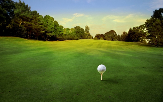Корейские инвесторы намерены построить в Хабаровске поле для гольфа